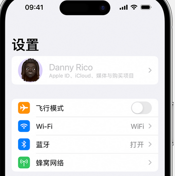 滨州appleID维修服务iPhone设置中Apple ID显示为灰色无法使用 