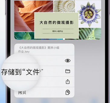 滨州apple维修中心分享iPhone文件应用中存储和找到下载文件