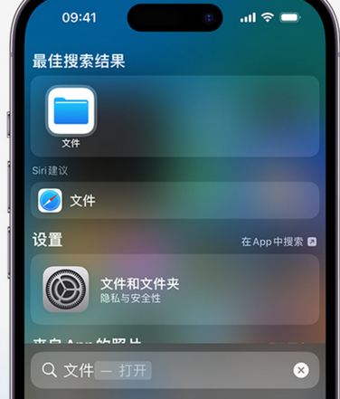 滨州apple维修中心分享iPhone文件应用中存储和找到下载文件 