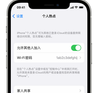 滨州apple服务站点分享iPhone上个人热点丢失了怎么办 