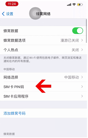 滨州苹果14维修网分享如何给iPhone14的SIM卡设置密码 