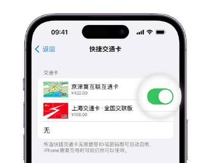 滨州apple维修点分享iPhone上更换Apple Pay快捷交通卡手绘卡面 