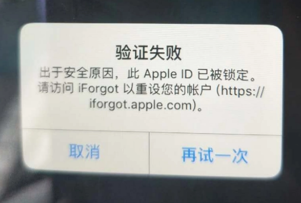 滨州iPhone维修分享iPhone上正常登录或使用AppleID怎么办 