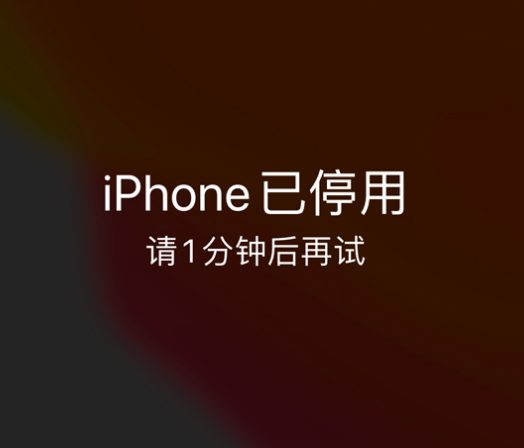 滨州苹果手机维修分享:iPhone 显示“不可用”或“已停用”怎么办？还能保留数据吗？ 