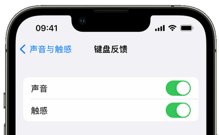 滨州苹果手机维修分享iPhone 14触感键盘使用方法 