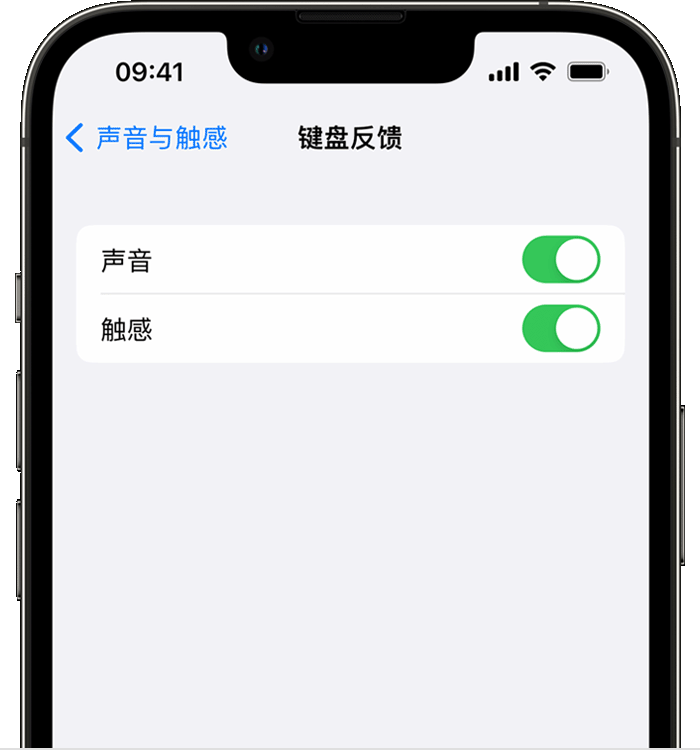 滨州苹果14维修店分享如何在 iPhone 14 机型中使用触感键盘 