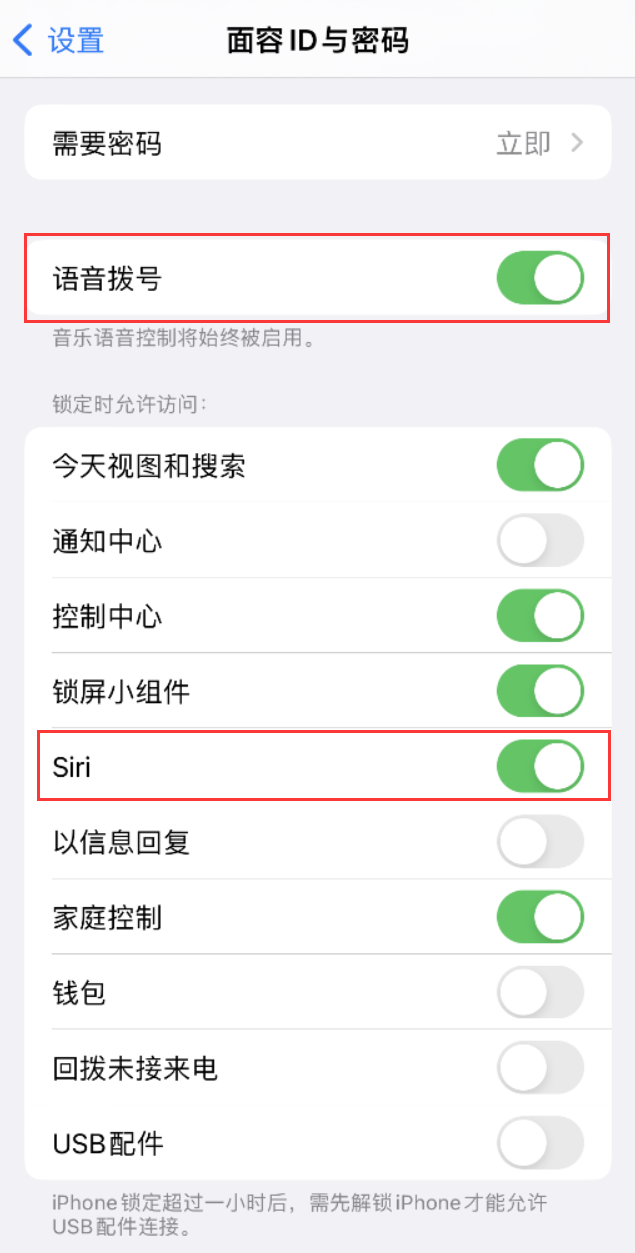 滨州苹果维修网点分享不解锁 iPhone 的情况下通过 Siri 拨打电话的方法 