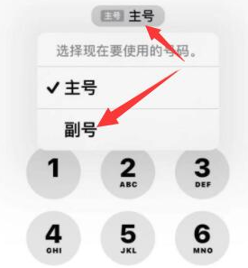 滨州苹果14维修店分享iPhone 14 Pro Max使用副卡打电话的方法 