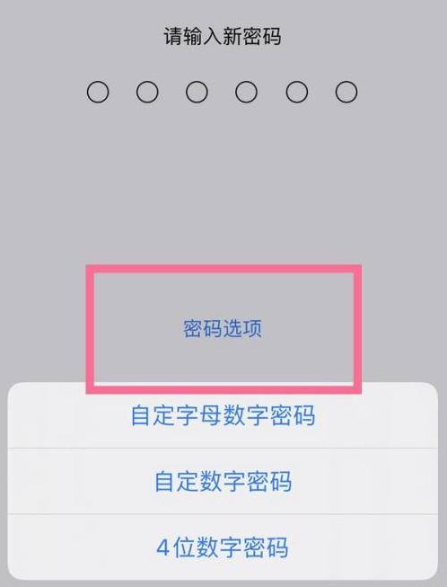 滨州苹果14维修分享iPhone 14plus设置密码的方法 