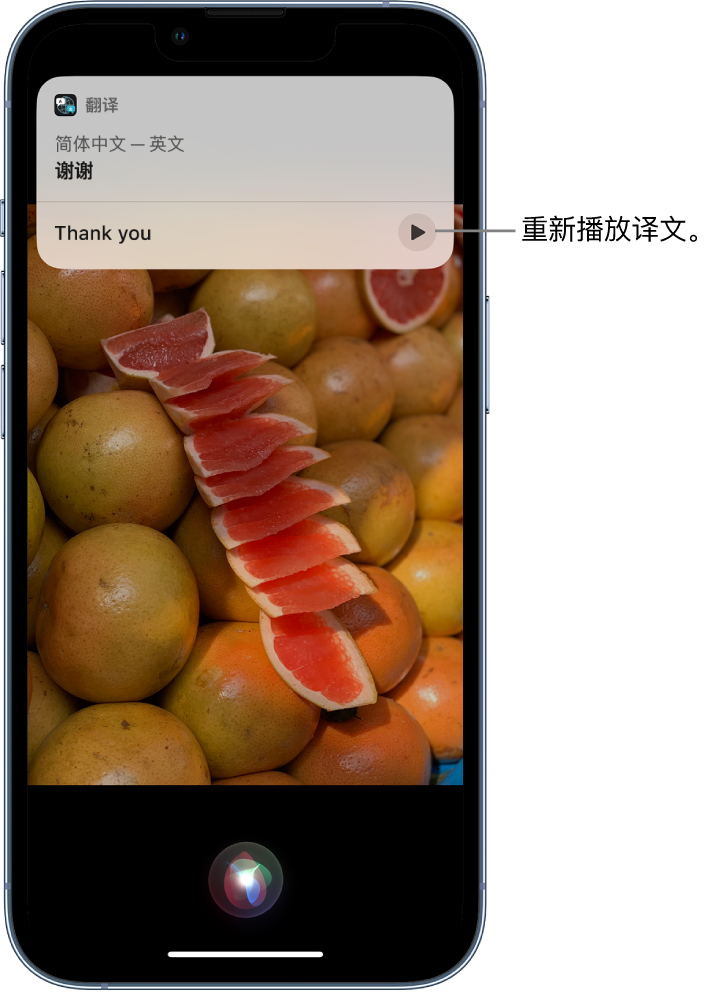 滨州苹果14维修分享 iPhone 14 机型中使用 Siri：了解 Siri 能帮你做什么 