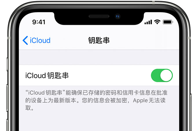 滨州苹果手机维修分享在 iPhone 上开启 iCloud 钥匙串之后会储存哪些信息 