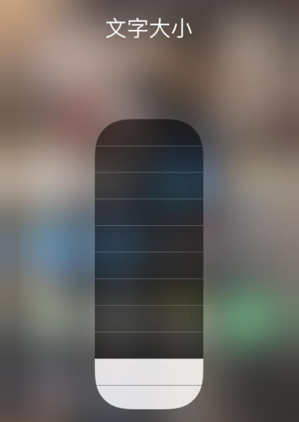 滨州苹果手机维修分享小技巧：在 iPhone 控制中心快速调节字体大小 