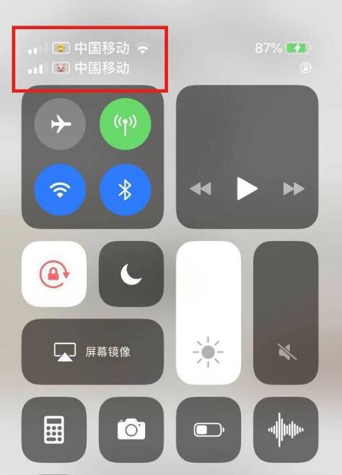 滨州苹果手机维修分享为 iPhone 12 双卡设置标签 